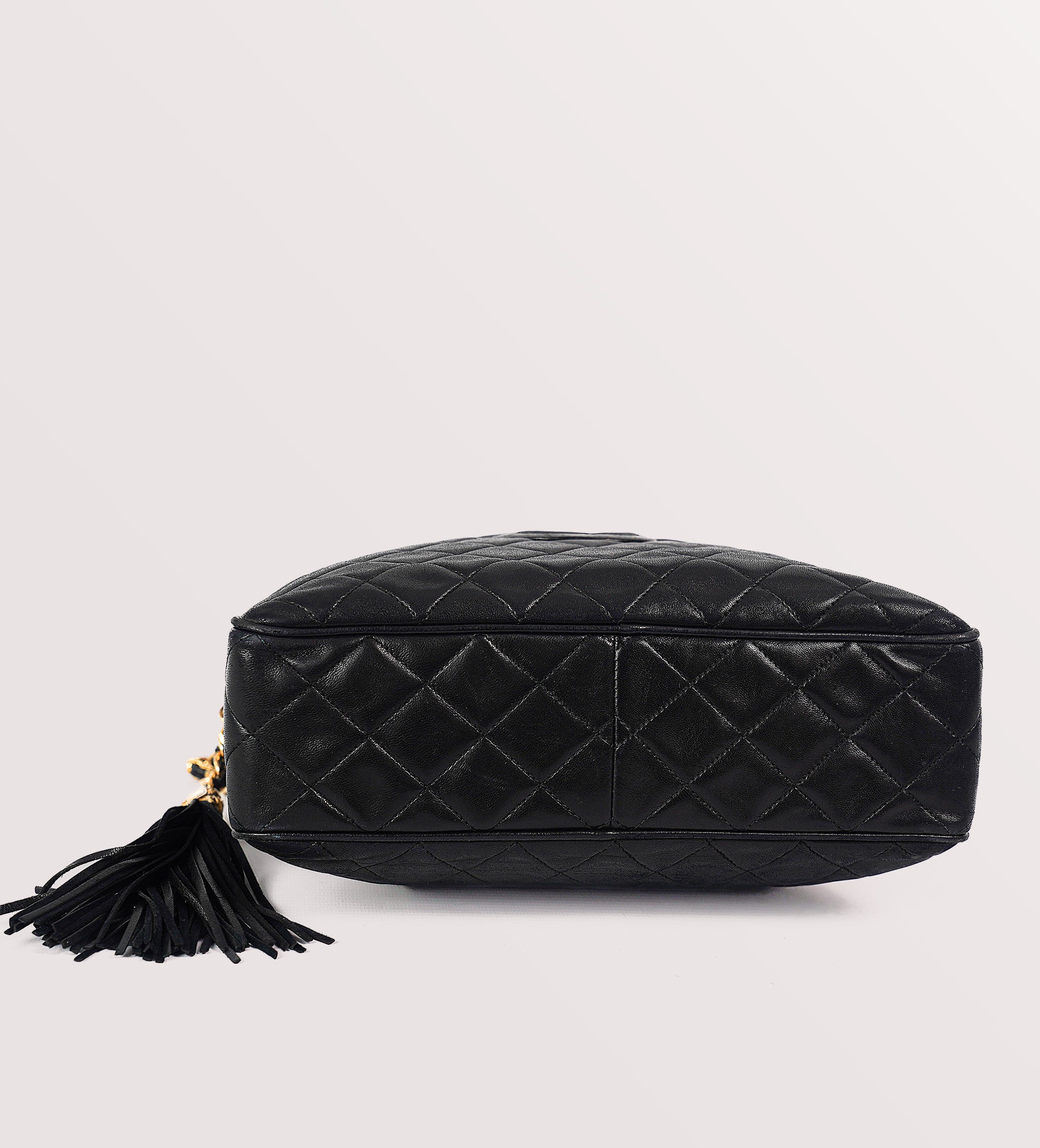 Chanel Camera bag