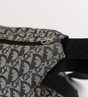 Dior trotter
