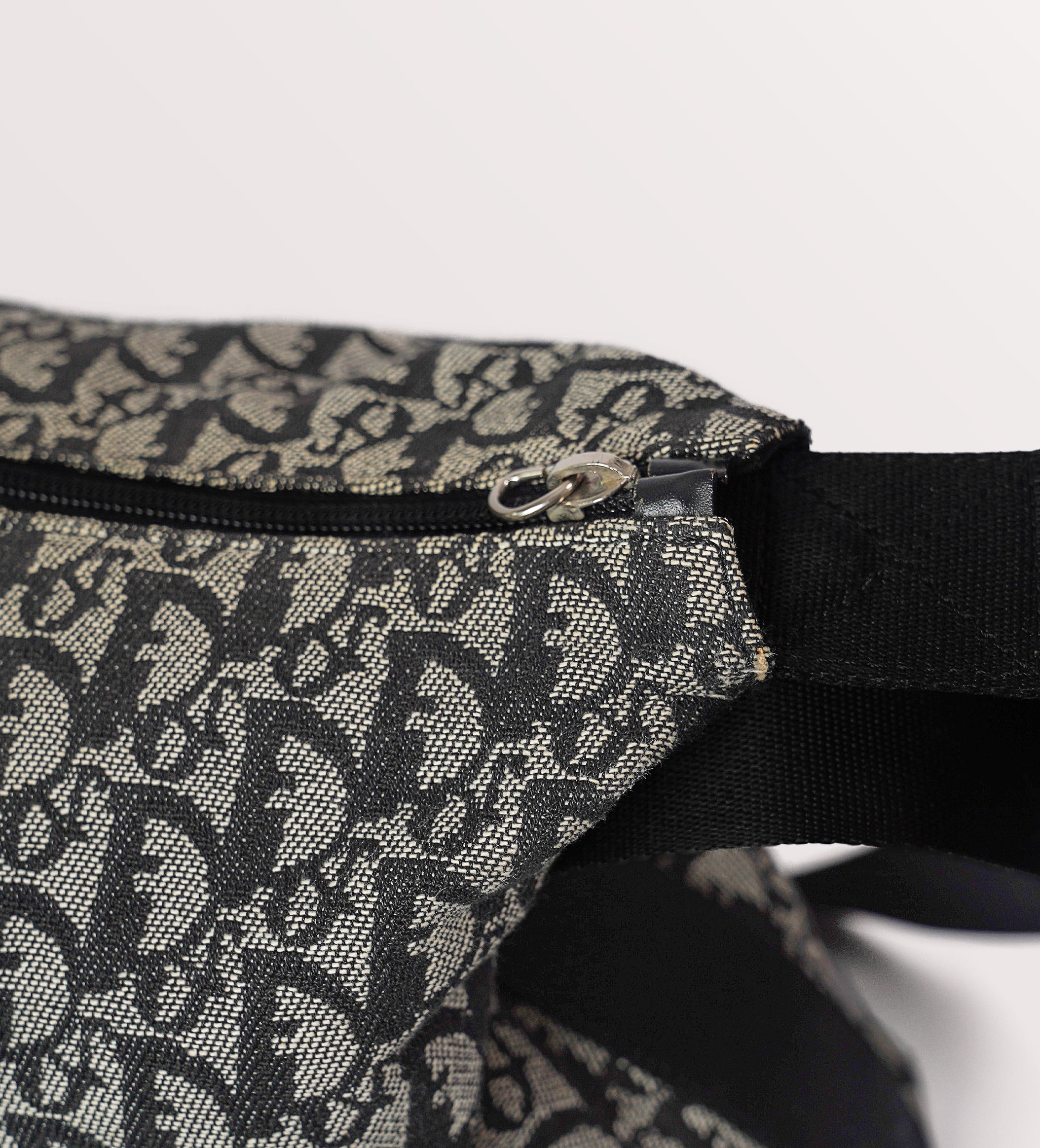 Dior trotter